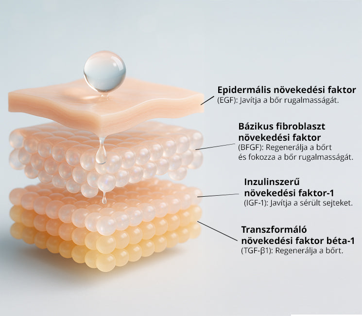 M.G.F. Renewal Solution Ampoule (52 ml)